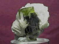 Minerals Single-Stitch Tee image